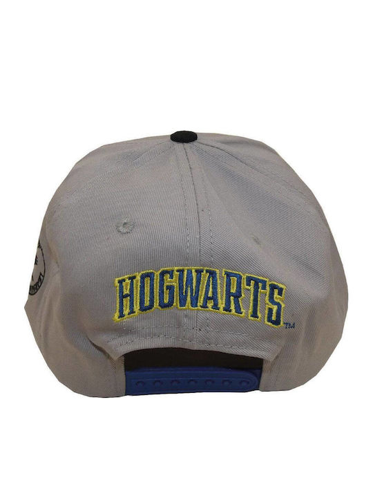Șapcă Harry Potter Ravenclaw College Snapback Gri Har01604sbcos