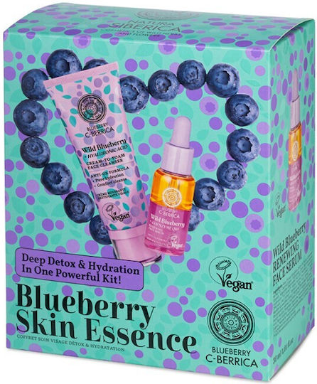 Natura Siberica Blueberry Skin Care Set for Moisturizing & Facial Cleaning 2 Pieces