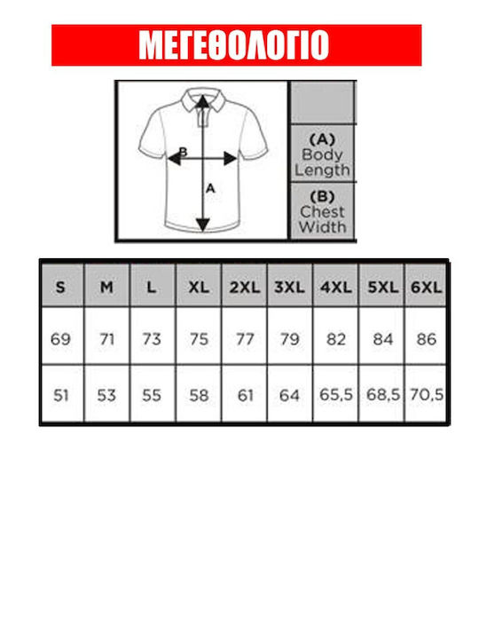 Polo Herrenbluse Blau