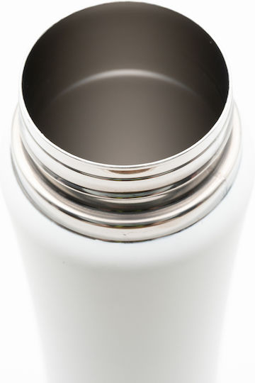 TnS Stainless Steel Thermos Bottle 750ml Stainless Steel with Straw and Handle
