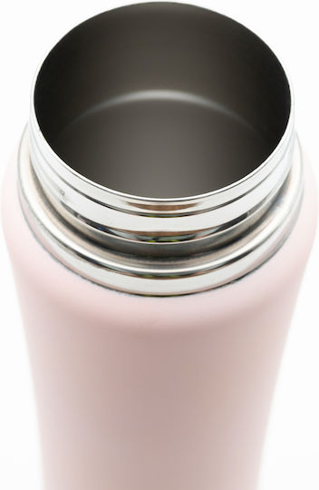 TnS Stainless Steel Thermos Bottle 750ml Stainless Steel with Straw and Handle