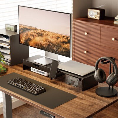 Brateck Brateck Computer Monitor Ständer Für Schreibtisch Bis 32 Zoll Mit Verlängerungsarm STB-128-02