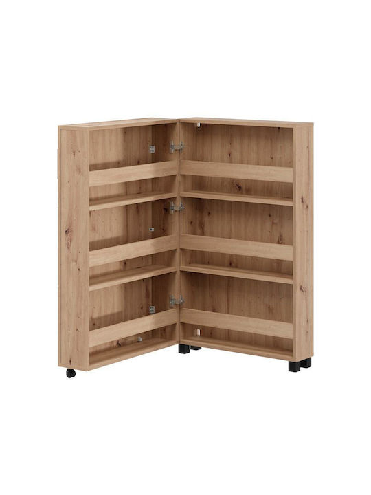 Fylliana Schuhorganisator 68x33x113cm