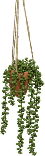 Plantă Suculentă Ghiveci Ceramic Agățat 10x10x40cm Model 3 Kaeming Plantă Suculentă Ghiveci Ceramic Agățat 10x10x40cm Model 3 Kaeming
