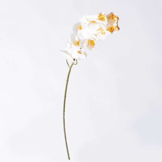 Supergreens Artificial White Orchid Branch 75 Cm 7-0323 Supergreens Artificial White Orchid Branch 75 Cm 7-0323