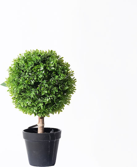 Supergreens Artificial Buxus Bonsai Green 35 cm 6-0862