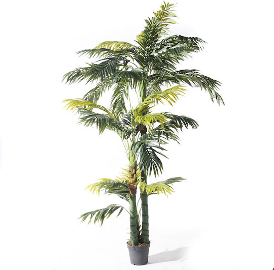 Supergreens Изкуствено Дърво Арахондофиникас Betel Зелено 290 См 6-0812