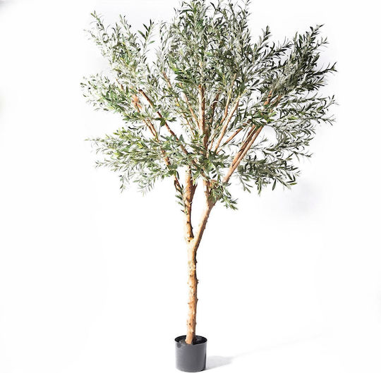 Supergreens Dekoratives Künstliches Olive Baum Natural Grüne 280 cm 6-1222 Supergreens Dekoratives Künstliches Olive Baum Natural Grüne 280 cm 6-1222