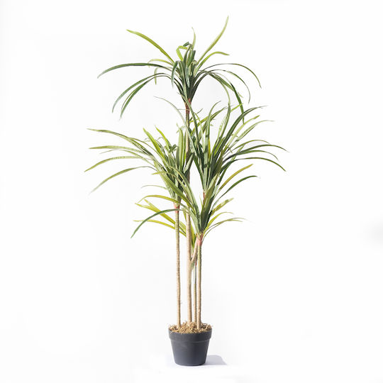 Supergreens Изкуствено Дърво Dracaena Anita Зелено 150 См 6-0829