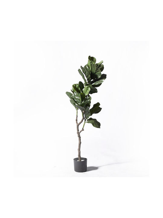 Supergreens Uv+fr Τεχνητό Δέντρο Φίκος Λυράτα Πράσινο 120 Εκ Supergreens Uv+fr Τεχνητό Δέντρο Φίκος Λυράτα Πράσινο 120 Εκ