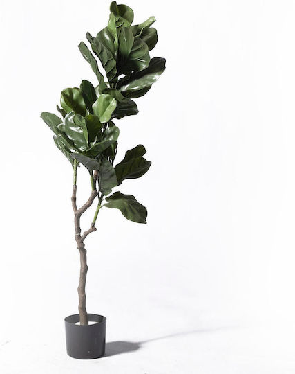 Supergreens Uv+fr Künstlicher Ficus Lyrata Baum Grün 120 cm