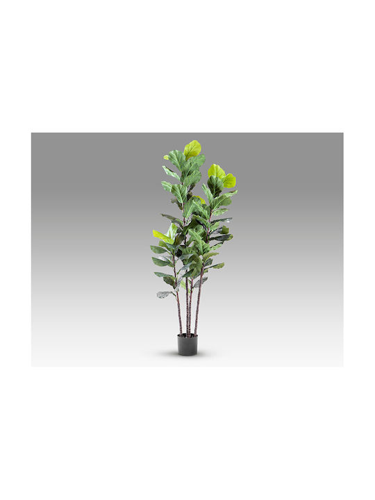 Higuera Violin 281577 Artificial Plant H250 – Τεχνητό Φυτό Ficus Lyrata Higuera Violin 281577 Artificial Plant H250 – Τεχνητό Φυτό Ficus Lyrata
