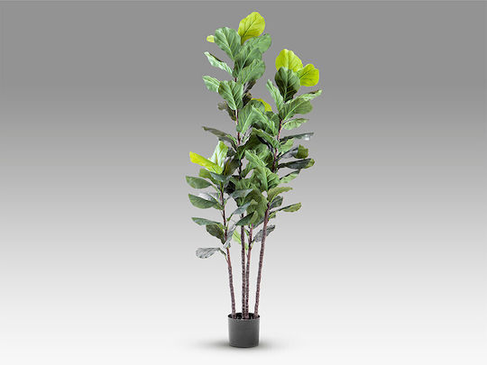 Higuera Violin 281577 Plantă Artificială H250 – Plantă Artificială Ficus Lyrata Higuera Violin 281577 Plantă Artificială H250 – Plantă Artificială Ficus Lyrata