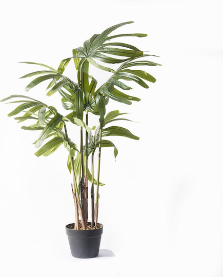 Supergreens Artificial Rapis Excelsa Tree Green 110 Cm 6-0830 Supergreens Artificial Rapis Excelsa Tree Green 110 Cm 6-0830