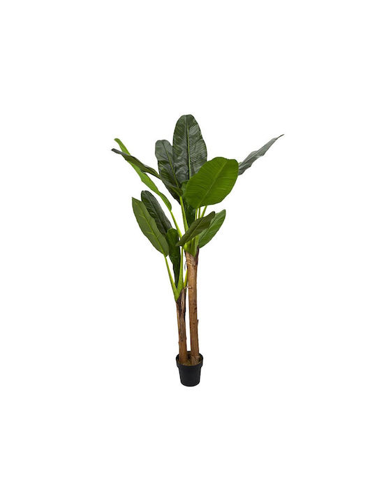 Μπανανιά Εξωτερικού Χώρου 160cm The Home Deco Factory