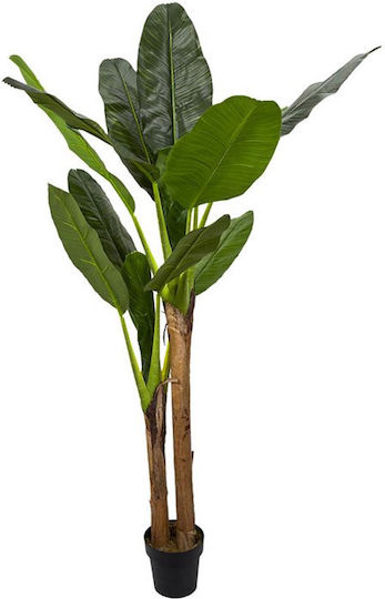 Outdoor Tree Musa by The Home Deco Factory Outdoor Tree Musa by The Home Deco Factory