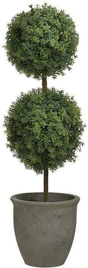 Buxus în Ghiveci Inart Buxus în Ghiveci Inart