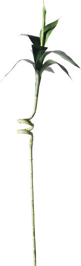 Artificial Decorative Bamboo Branch Supergreens