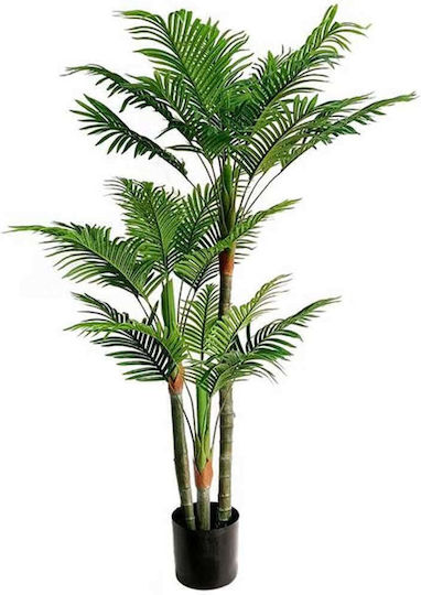 Outdoor Palm Tree Newplan