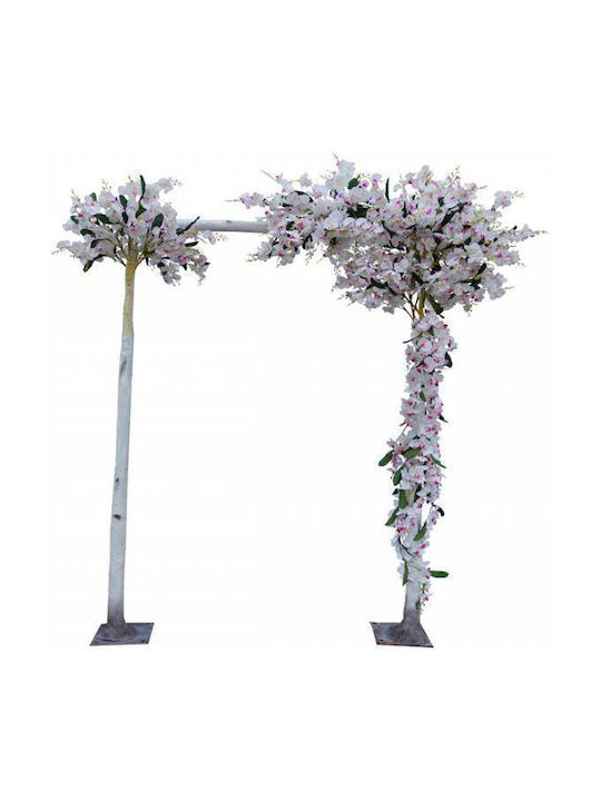 Outdoor Tree Multicolour Orchid