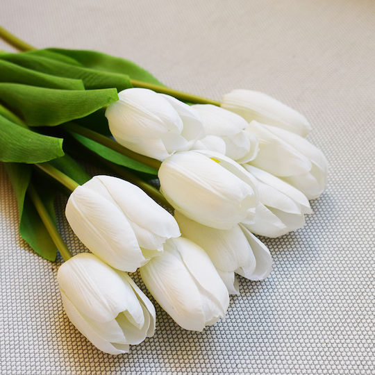 White Tulip Koart