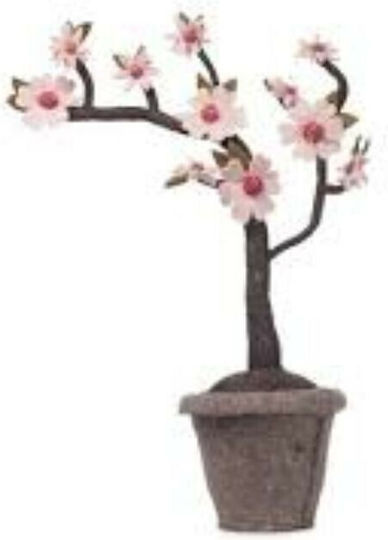 Magnolie in Topfpflanze Neonato