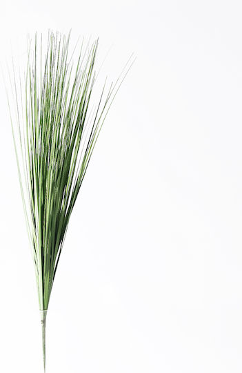 Artificial Recessed Plant Pampas Grass Supergreens