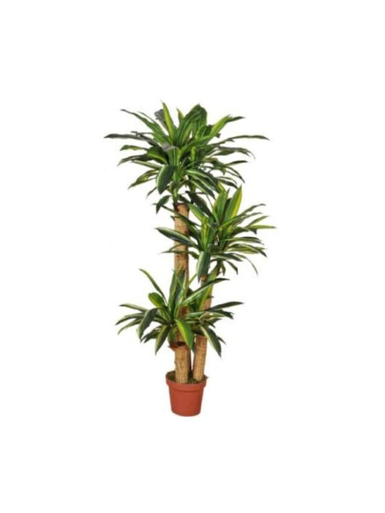 Künstlicher Baum für den Außenbereich Dracaena Grün 145cm Gardin