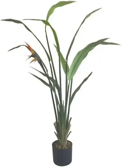 All Τεχνητό Φυτό Εξωτερικού Χώρου Strelitzia Ύψος 140cm All Τεχνητό Φυτό Εξωτερικού Χώρου Strelitzia Ύψος 140cm