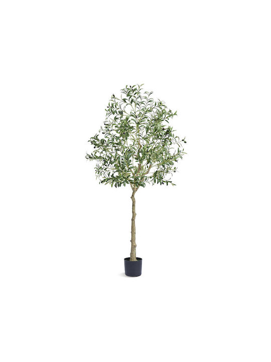 Vevor Topfpflanze Olive Vevor Topfpflanze Olive