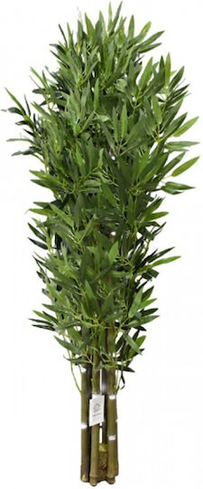 Outdoor Bamboo Outdoor Bamboo