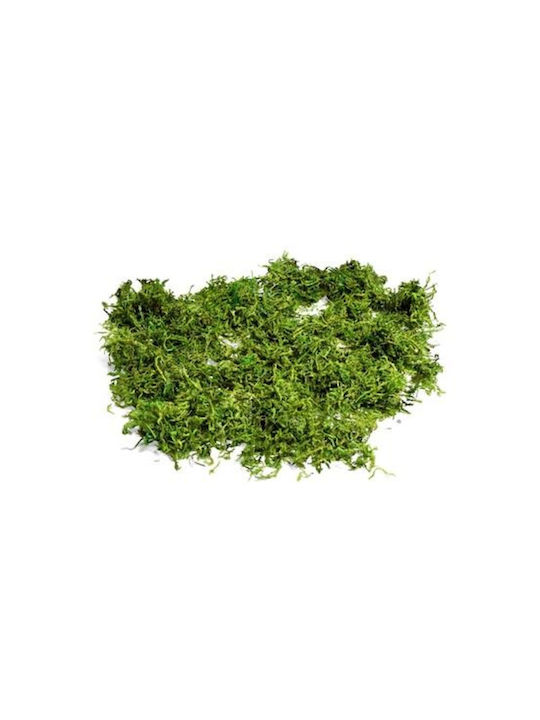 Planta Artificială Decorativă Beauty Home