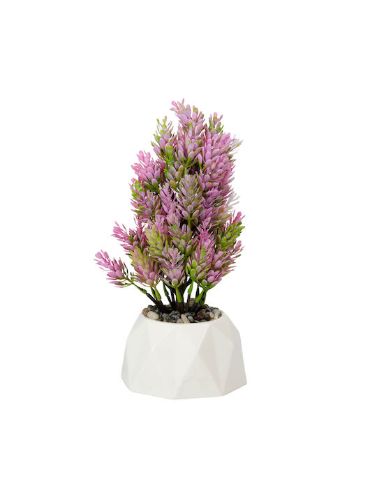 Pink Orchid In A Pot Viosarp