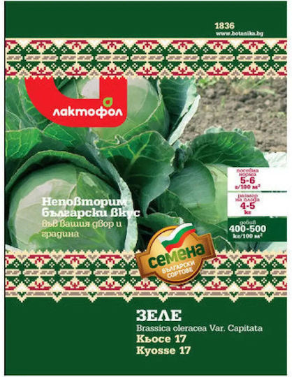 Cabbage Kiose Seeds