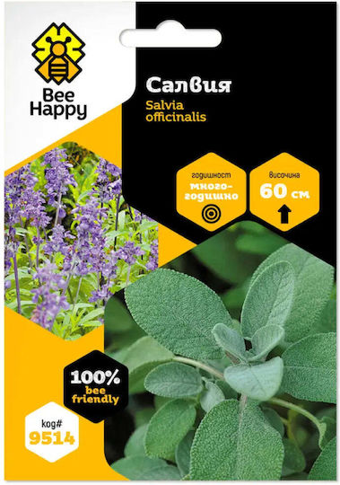 Bee Happy Salvia Seeds