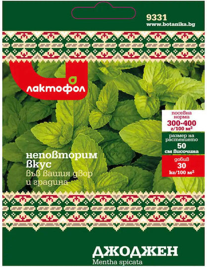 Mint Seeds