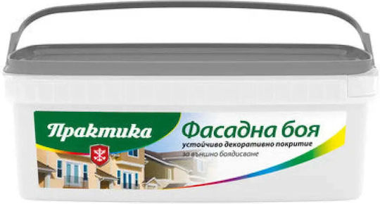 Facade Paint White 4.5 Kg Praktika