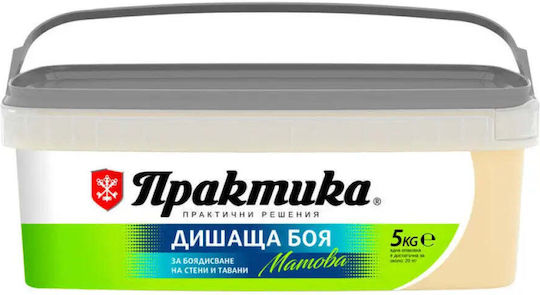 Culoare De Vopsea Pentru Interior Vară 5 Kg Praktika