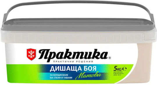 Interior Paint Color Cappuccino 5 Kg Praktika