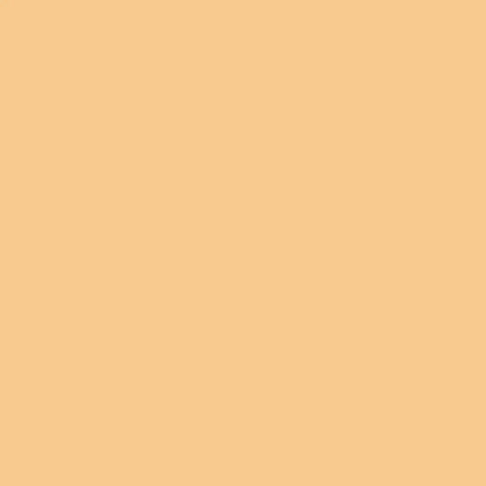 Facade Paint Mandarin 4.5 Kg Praktika