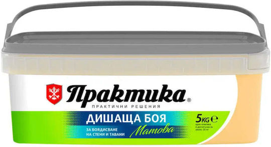 Vopsea De Interior Culoare Floarea Soarelui 5 Kg Praktika