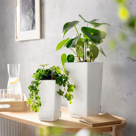 Lechuza Minicubi Self-Watering White Matte Flower Pot 9.5x9.5x18.5cm