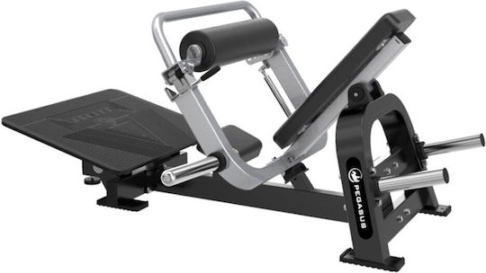 Pegasus Gesäß-Workoutgerät