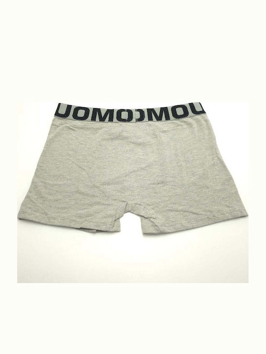 Herren Boxershorts Grau
