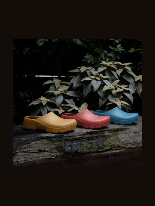 Birkenstock Ανατομικά Σαμπό Καφέ