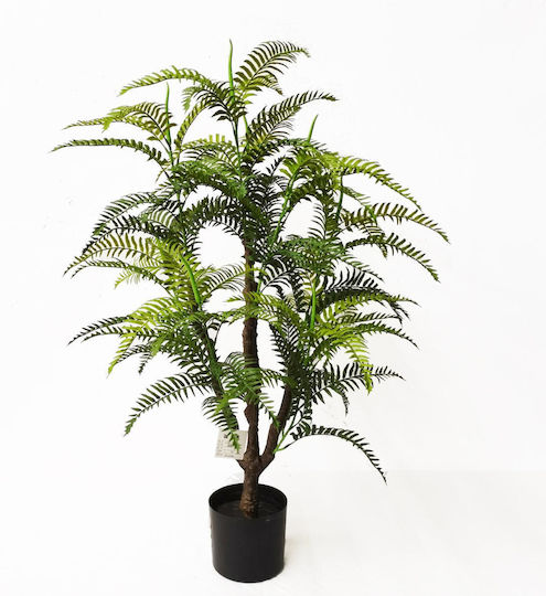 Fern in Potted Plant Supergreens