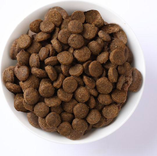 Farmina N&D Pumpkin Adult Mini 2kg Dry Food Grain-Free for Adult Small Breed Dogs with Pumpkin and Deer