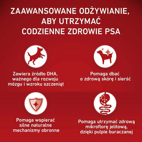 Purina One 2.5kg Dry Food for Puppies with Chicken and Rice