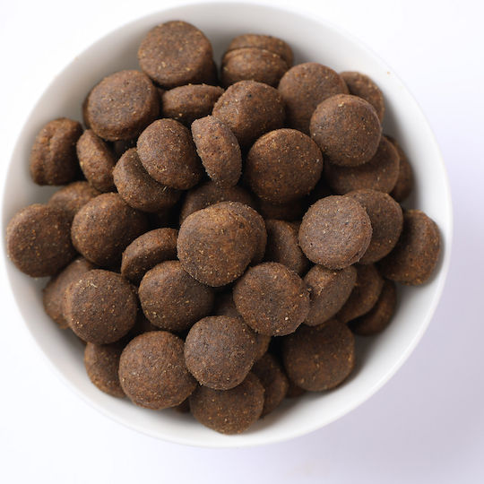 Farmina N&D Pumpkin Starter Puppy 2.5kg Dry Food Grain-Free for Small Breed Puppies with Chicken and Pomegranate