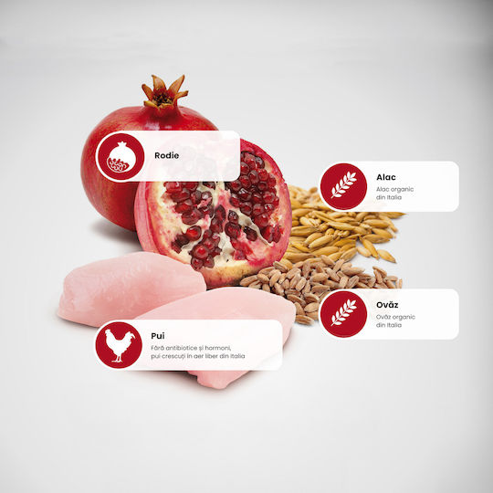 Farmina Ancestral Grain Chicken & Pomegranate Puppy Mini 7kg Hrană Uscată cu Puține Cereale pentru Căţei de Rase Mici cu Pui și Rodii de rodie
